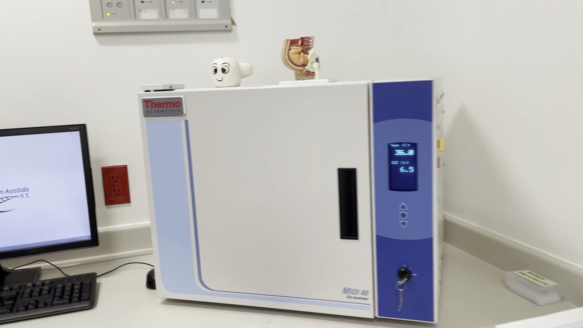 Incubadora de Dióxido de Carbono MIDI 40 Thermo Scientific