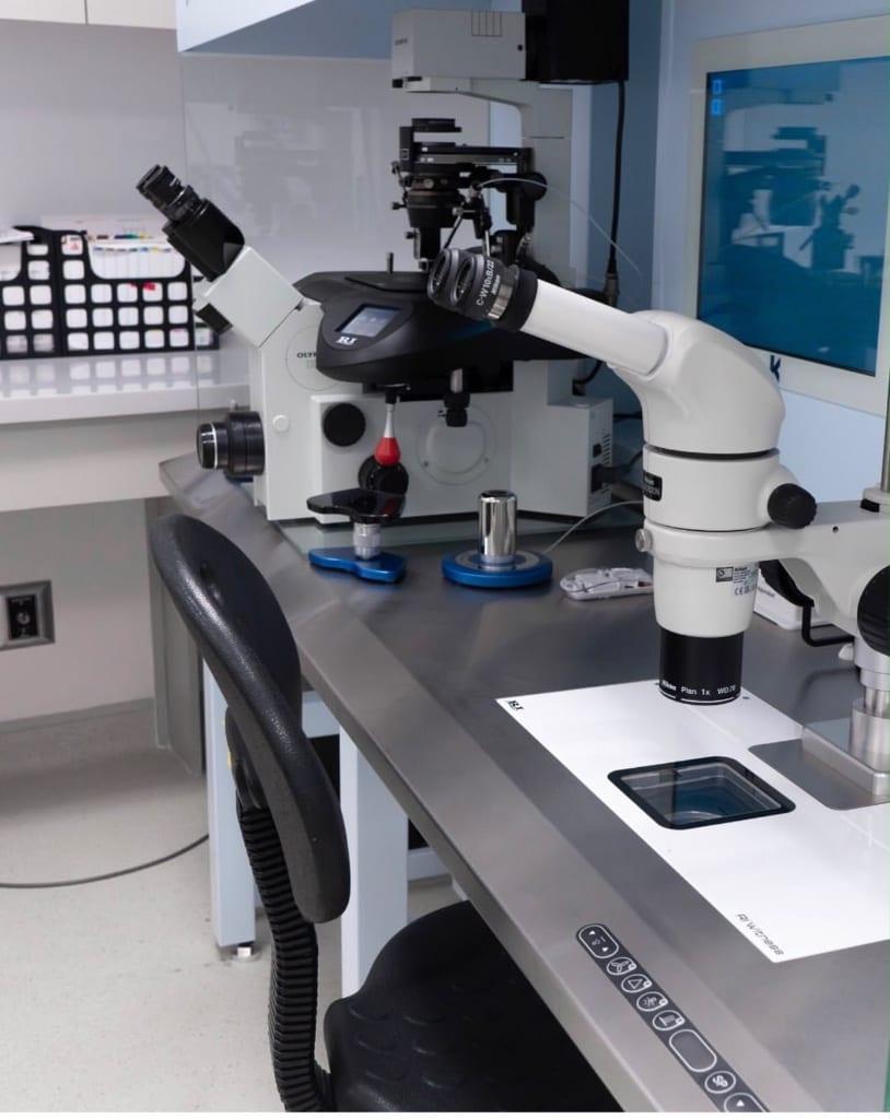 Estereomicroscopio Nikon y Estación de Trabajo con Seguridad RI Witness